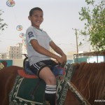 horse riding activity