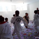 Taekwondo game