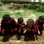 A day of Afforestation 