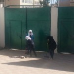 20131212_104953_55621