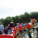 SAM_3611