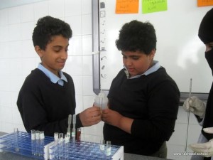 science lesson (7)